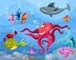 sea life