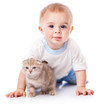 Photo: Child with kitten Child with kitten