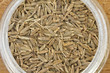 cumin seeds spice