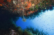 spirografo pantelleria