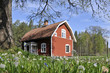 Frühling in Schweden