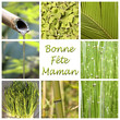 Bonne fête maman, composition zen