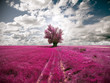 oniric landscape and tree