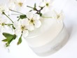 Photo: Facial cream Facial cream