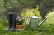 Gardening