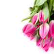 Pink tulips
