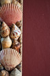 sea background
