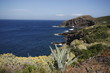 pantelleria perla nera