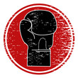 Emblema boxeo