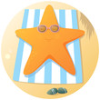 Cute starfish sunbathing Cute starfish sunbathing