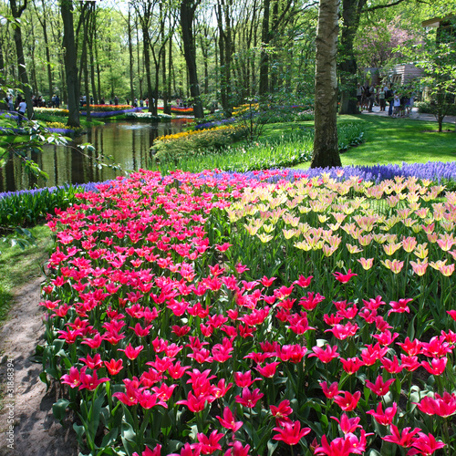 Foto: Keukenhof Keukenhof