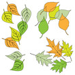 Leaf, collection for designers Leaf, collection for designers