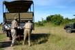 ����: Africa � africa #31869389