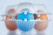 Photo: transgenic food transgenic food