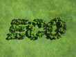Ecology background Ecology background