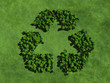 Ecology background Ecology background