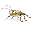 Cartoon beetle Cartoon beetle