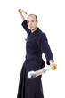 Kendo fighter