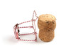 Bouchon