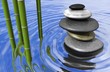 zen piedras