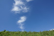 青空