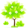 Green tree with grass