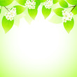 Spring background