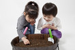 写真: 種をまく子供たち点 種をまく子供たち
