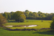 Pferde am See