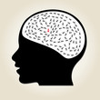 ACTIVIDAD CEREBRAL