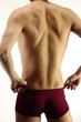Foto: Male back Male back