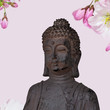 Buddha - Blüten rosa