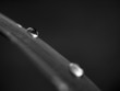 Goutte d'eau sur une feuille