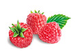 Himbeeren
