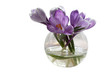 Crocuses