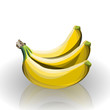 vector bananas