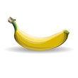 vector banana