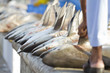 sharks at a fish market, Dubai,United Arab Emirates sharks at a fish market, Dubai,United Arab Emirates