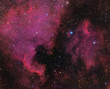 Photo: North America and Pelican Nebula North America and Pelican Nebula