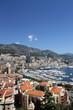 Monte Carlo