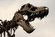 T-Rex