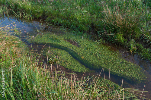 Foto: ditch ditch
