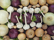 oniond and garlic on show