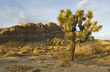 Red Cliffs Natural Preserve of Red Rock Canyon, CA Red Cliffs Natural Preserve of Red Rock Canyon, CA