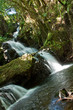 Tropical Waterfalls