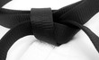 Black Belt