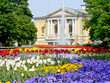 Blumenbeet mit Blick auf Hallesche Oper