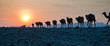 Karawane im Sonnenuntergang