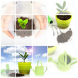 Plant with garden tools isolated over white. Plant with garden tools isolated over white.