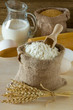 Wheat ears and flour
